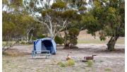 A tent, fireplace and picnic table at Wonga Camground at Wyperfeld National Park