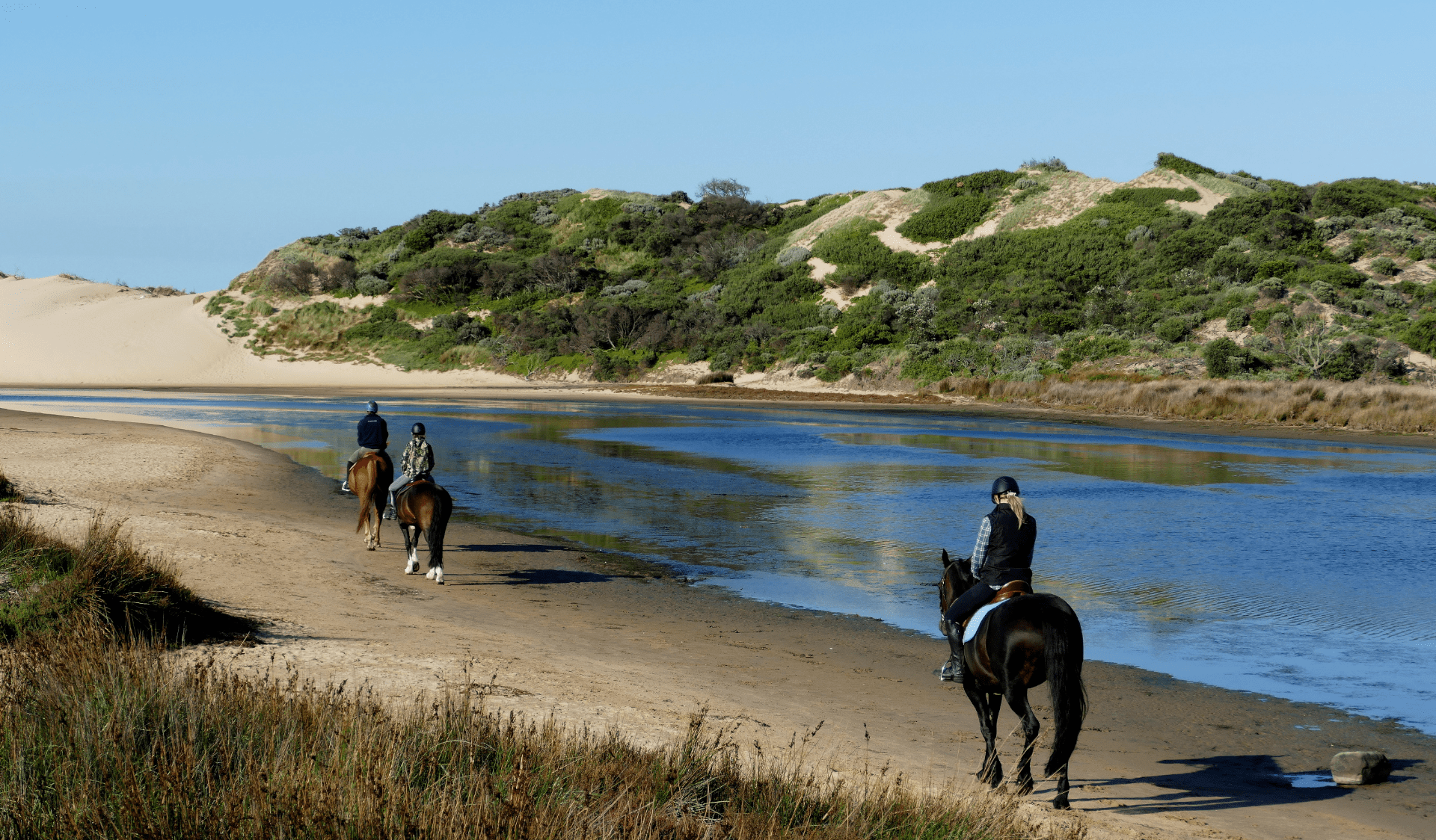 Three people ride horses along Powlett River in Yallock Bulluk Marine and Coastal Park