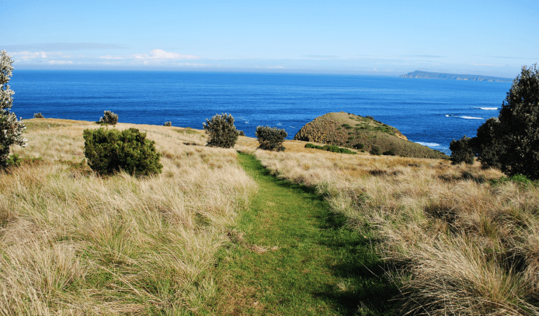 The George Bass Coastal Walk, Yallock Bulluk Marine and Coastal Park