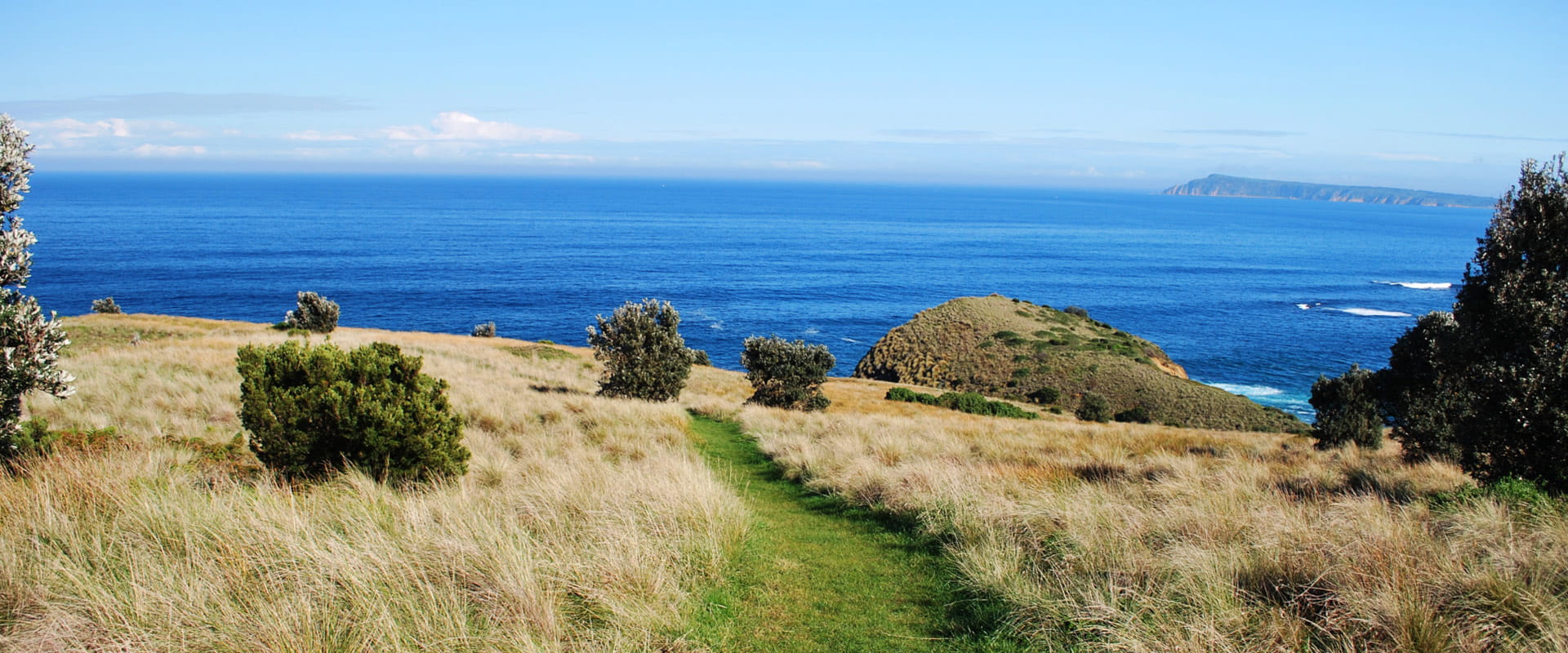 Large coastal views from the top of a grass covered cliff with calm blue skies
