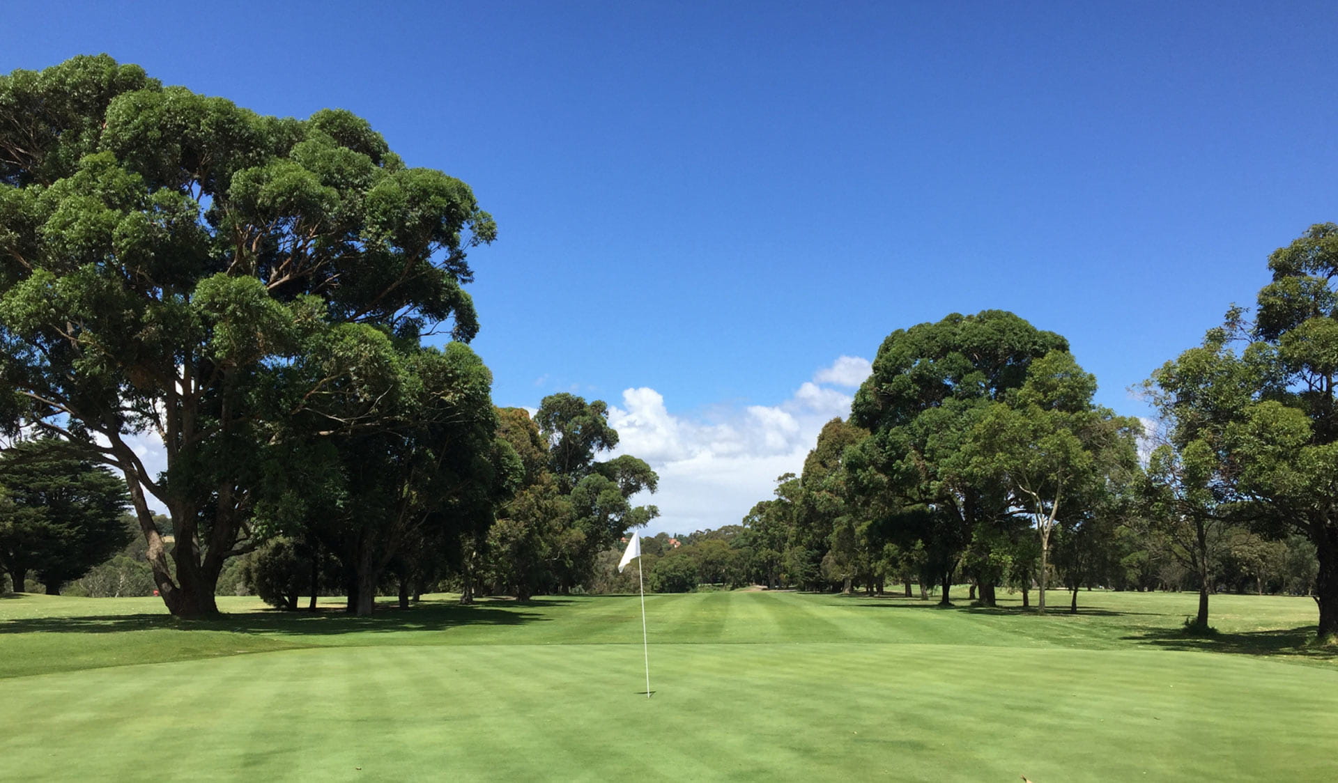 The 12th hole at the Yarra Bend Golf Course.