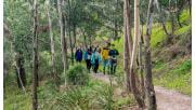 A ground take a volunteer led tour through the Flying Fox environments on the banks of the Yarra River in Yarra Bend Park