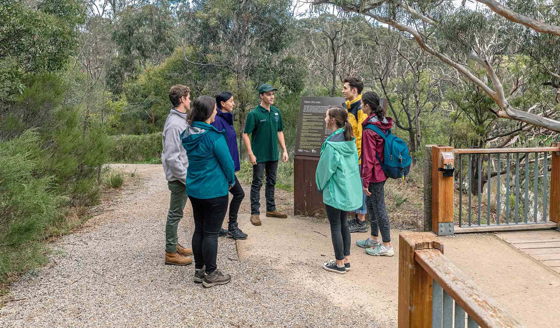 A group take a volunteer led tour through the Flying Fox environments on the banks of the Yarra River in Yarra Bend Park