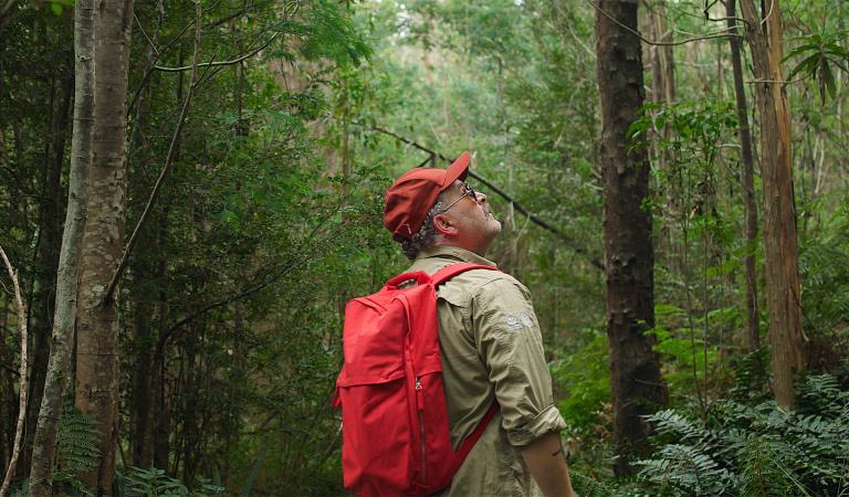 Man wearing a khaki shirt, red cap and red backpack looking up at the trees.