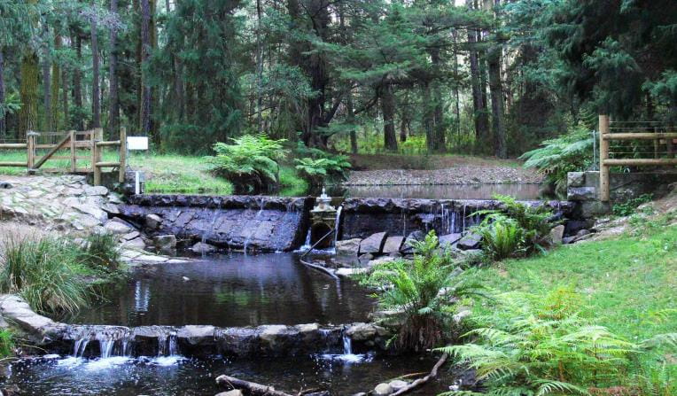 Donellys Weir in the Yarra Ranges National Park.