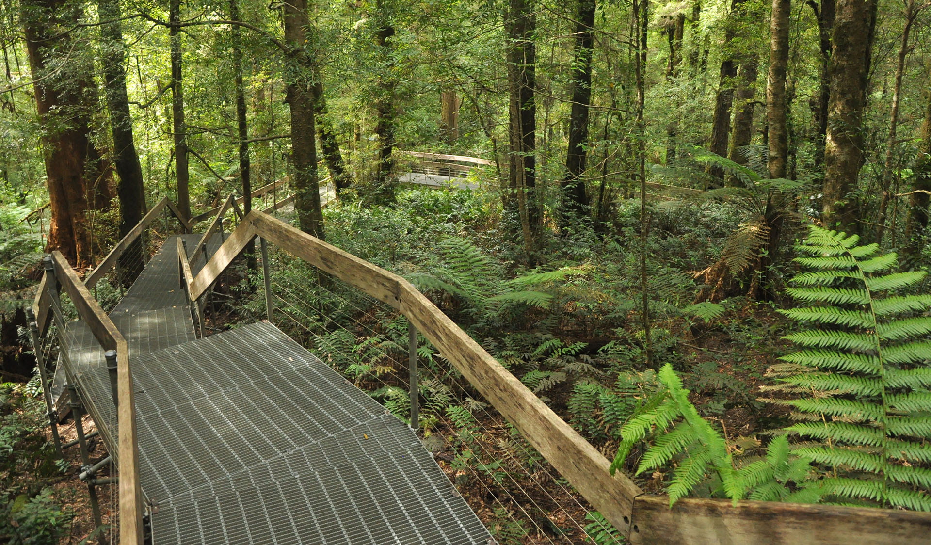 Mount donna buang hotsell