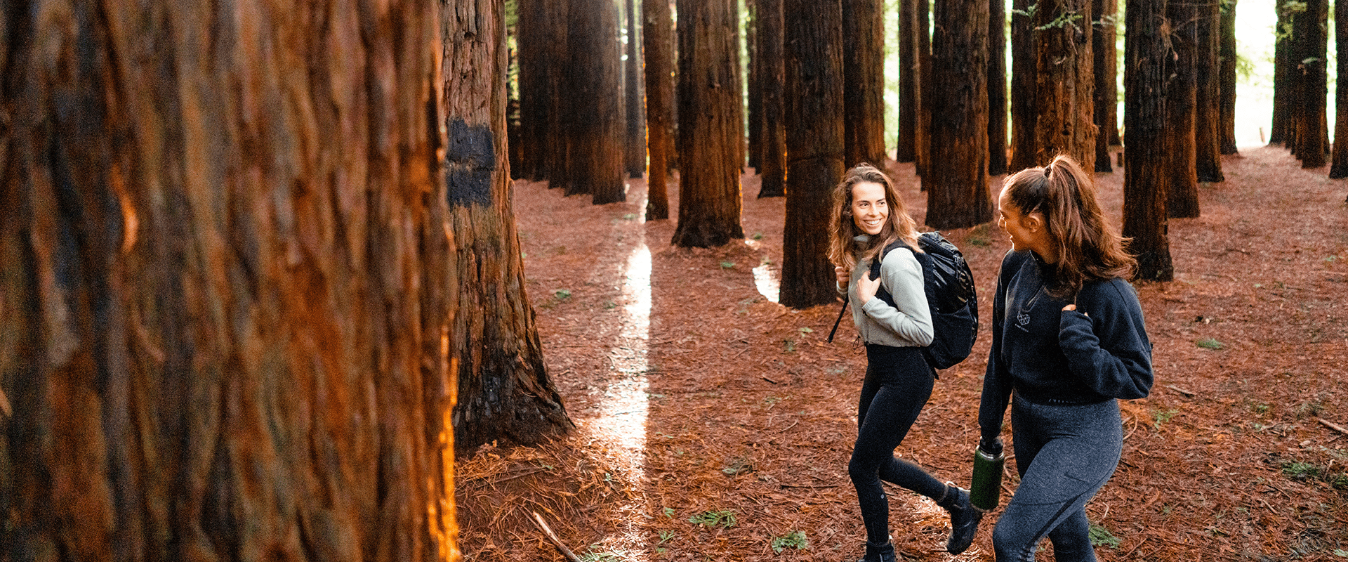 Two females carrying hiking packs walk amongst the towering Redwoods as the sun filters through the canopy.