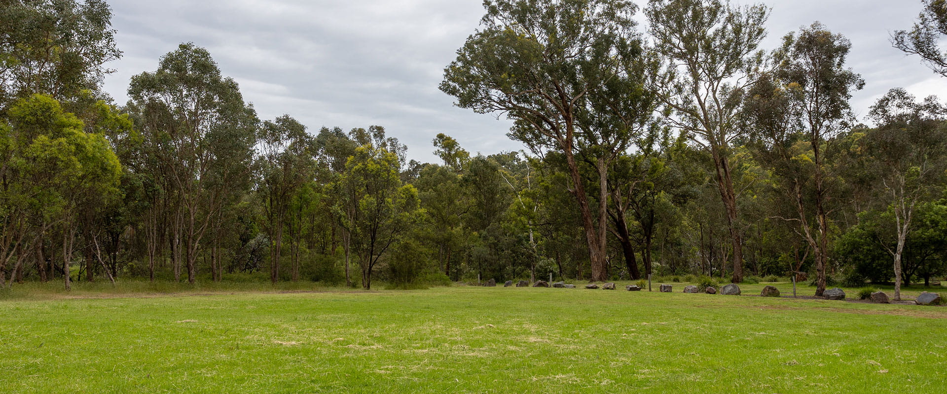 A large grassy clearing
