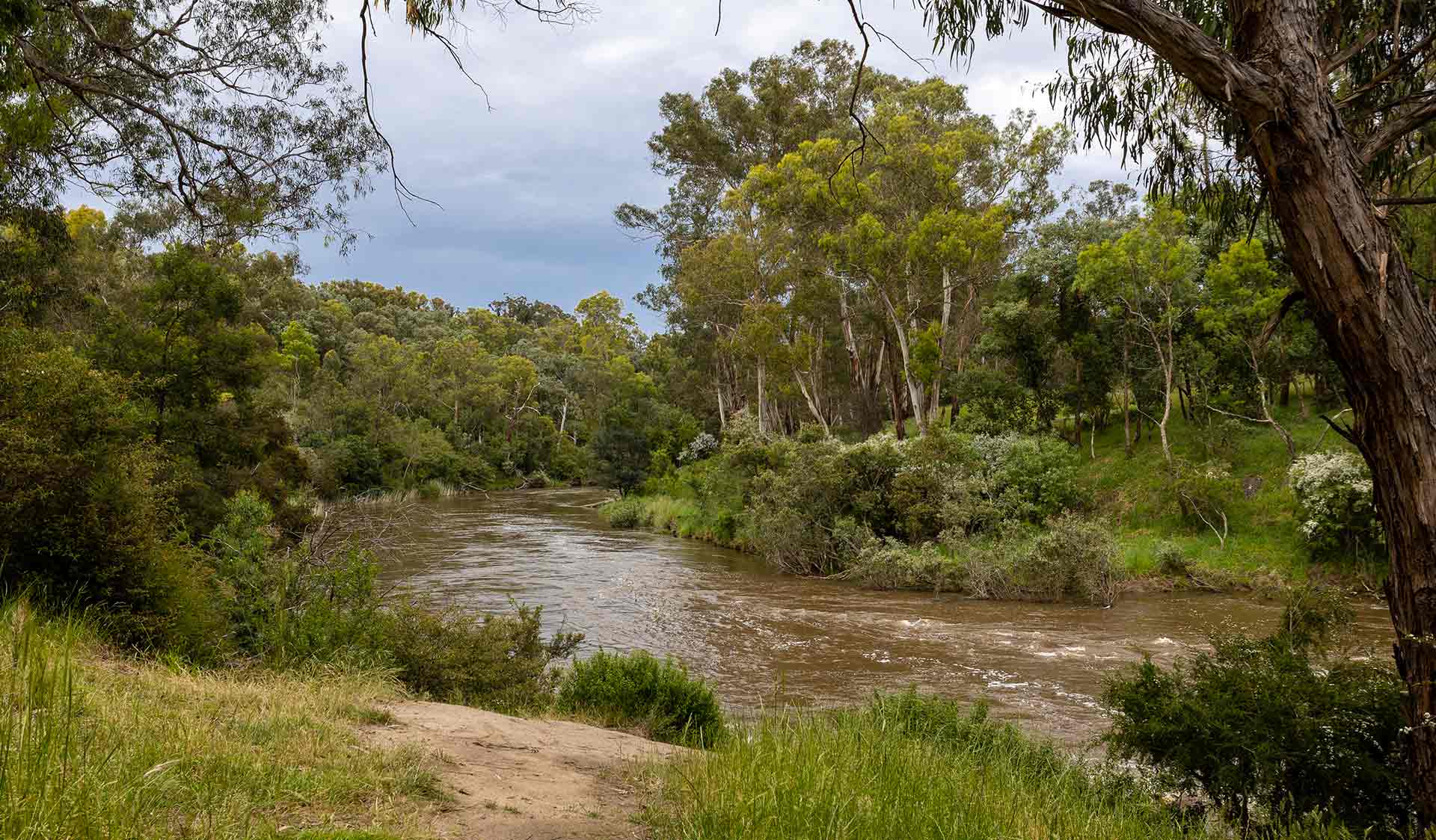 the Yarra River near Longridge Campground at Yarra Valley Parklands