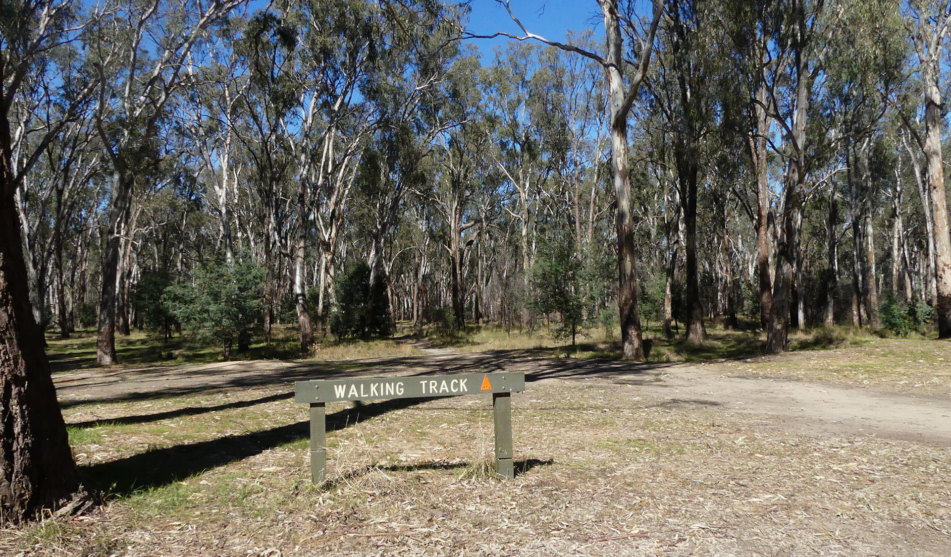 Walking track at Yarrawonga Regional Park 