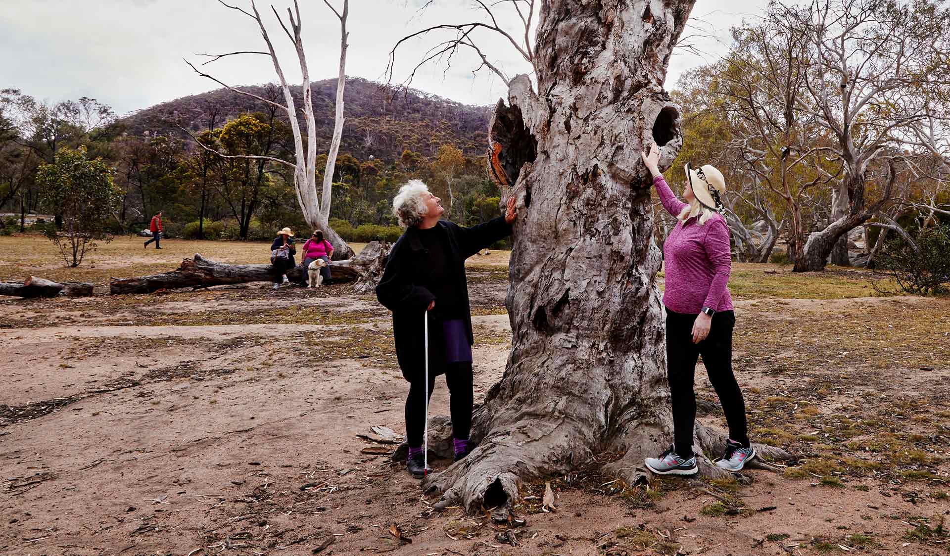A vision impaired woman and friend inspecting a large, old tree at Valley Picnic Ground