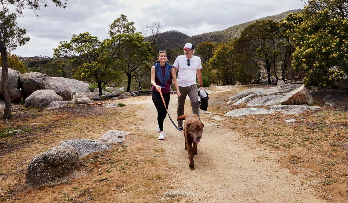 A couple walking their dog at Big Rock Walking Track