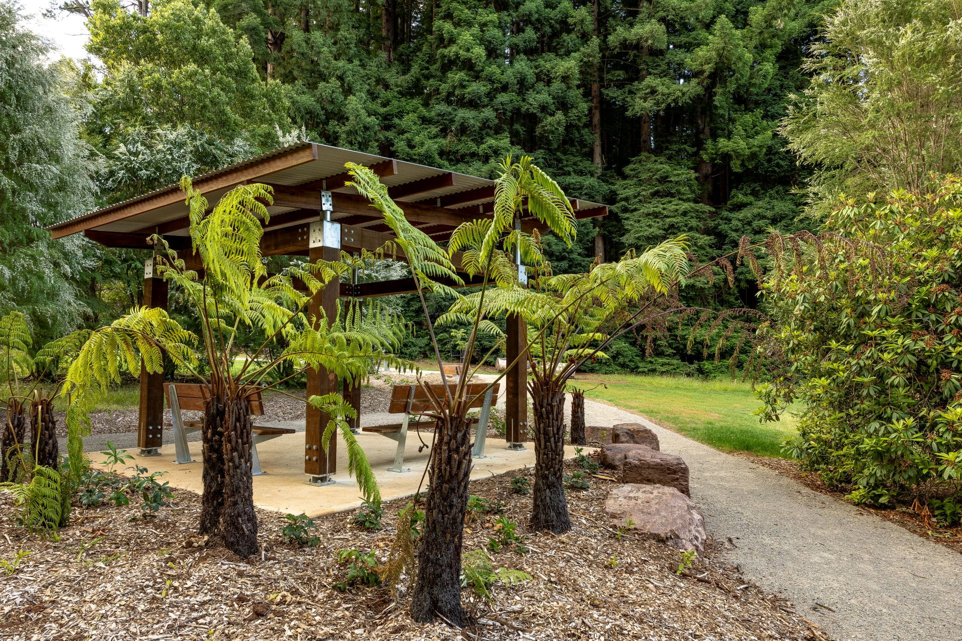 A shaded seating area beside the Redwood Forest. 