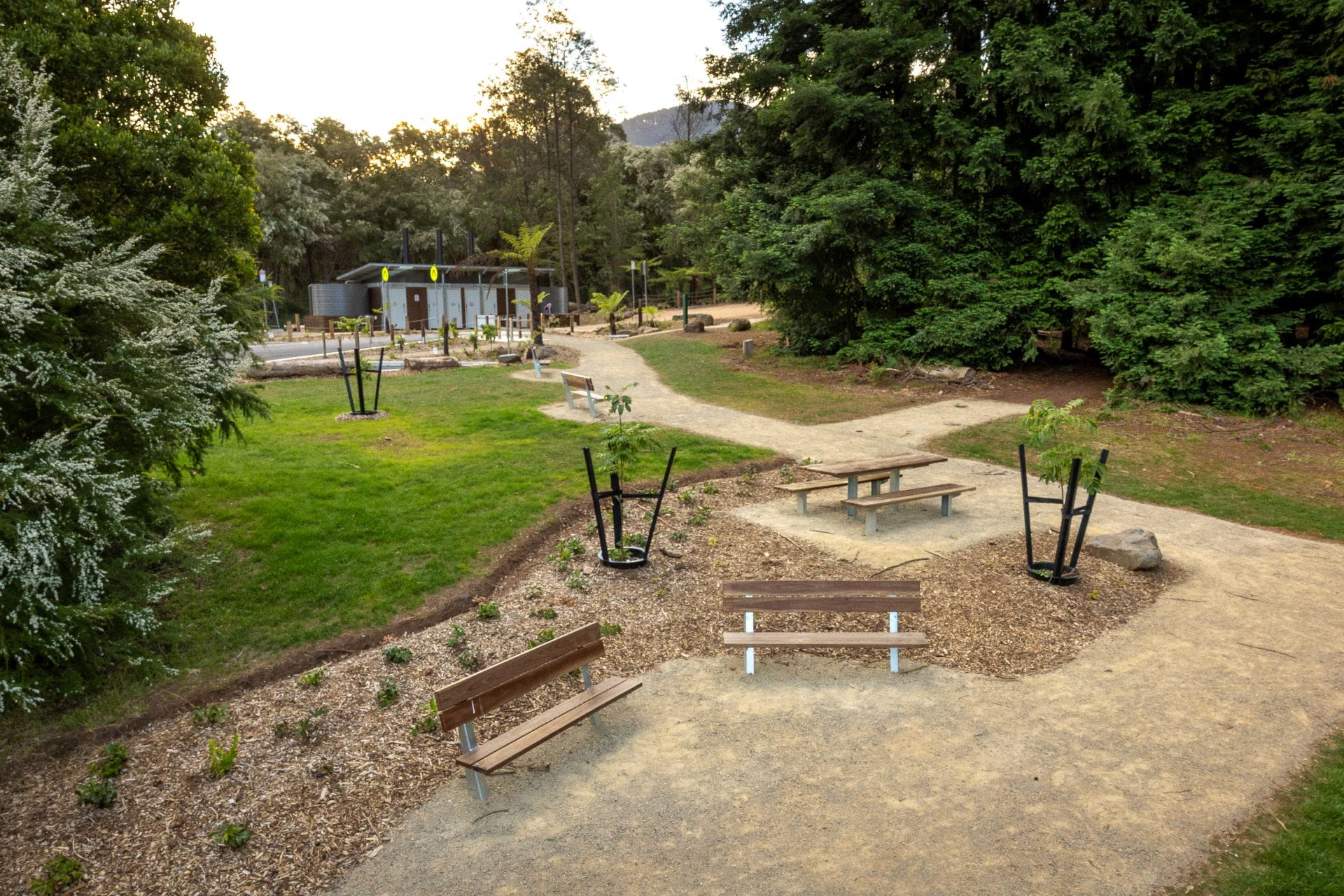 A seating area at the end of the foot path alongside the Redwood Forest. 