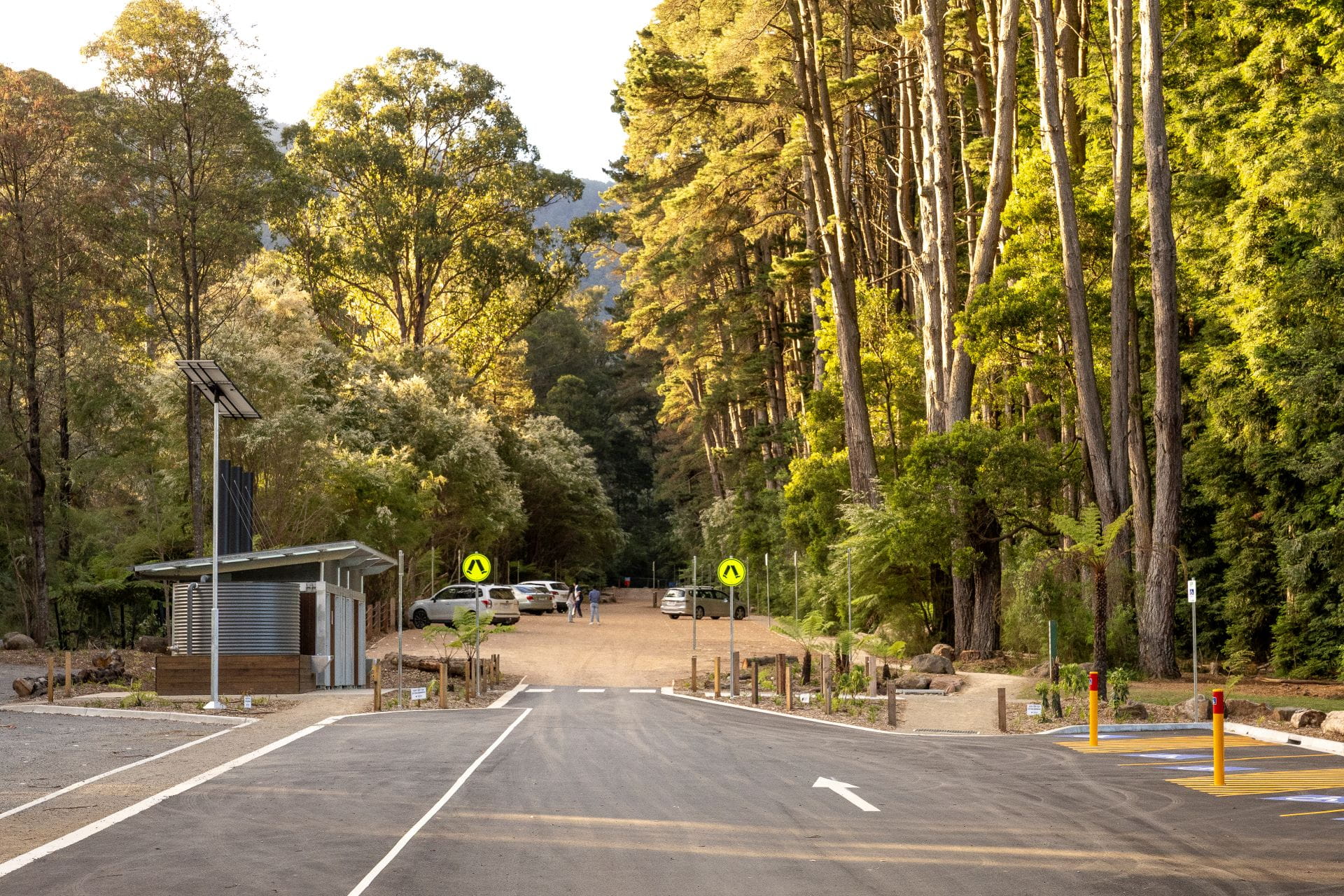 A road leading to the Redwood Forest car park. There is a toilet building on the left and the edge of the forest on the right. 