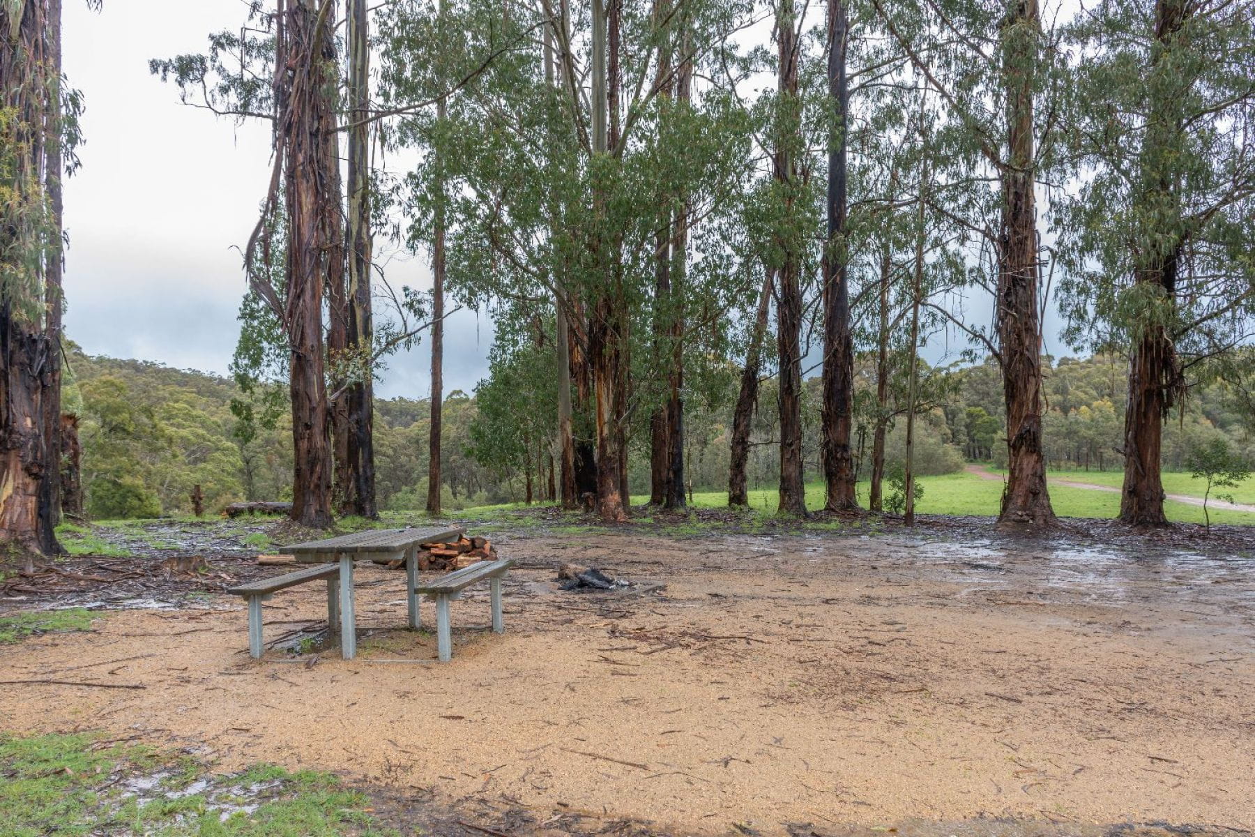 A picnic table in a clearing surrounded by trees and grass.