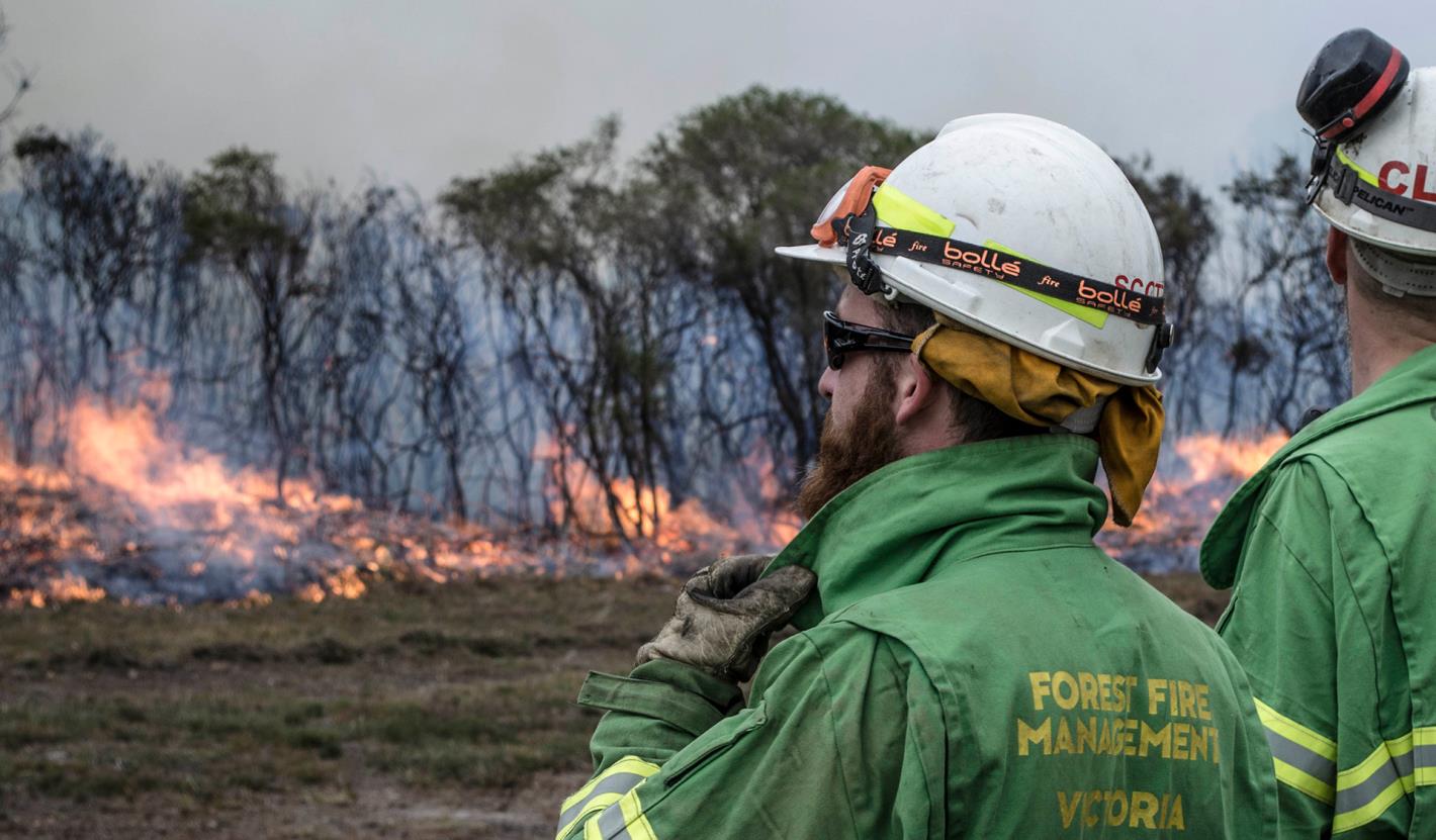 Forest Fire Management team