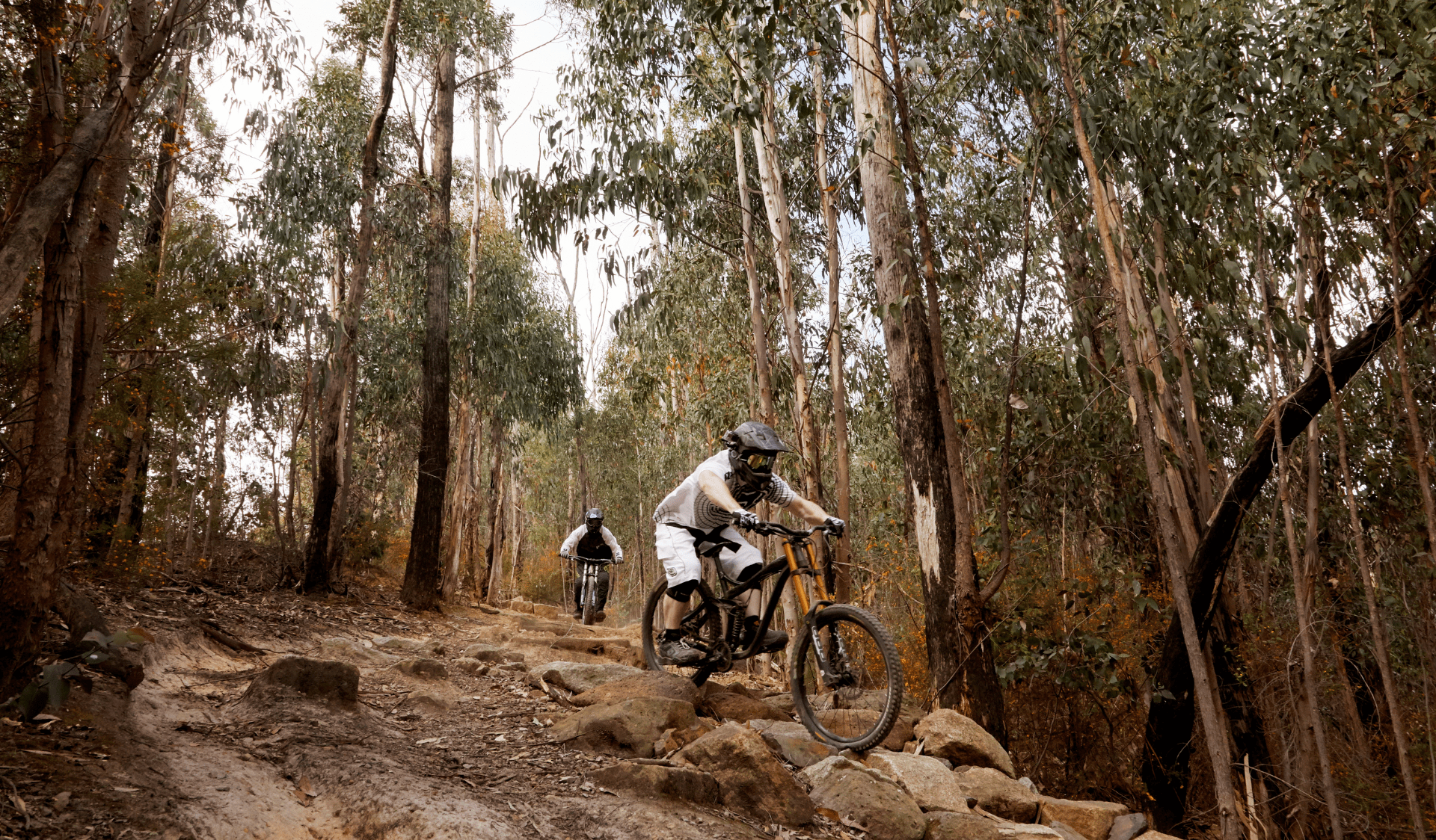 Two mountain bikers riding down hills in Bowden Spur Mountain Bike Area in Kinglake National Park