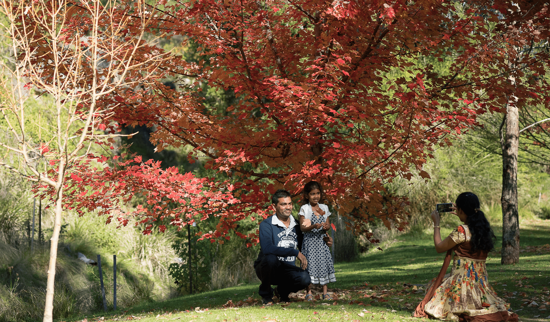 Family walking under big tree full of red and gold leaves