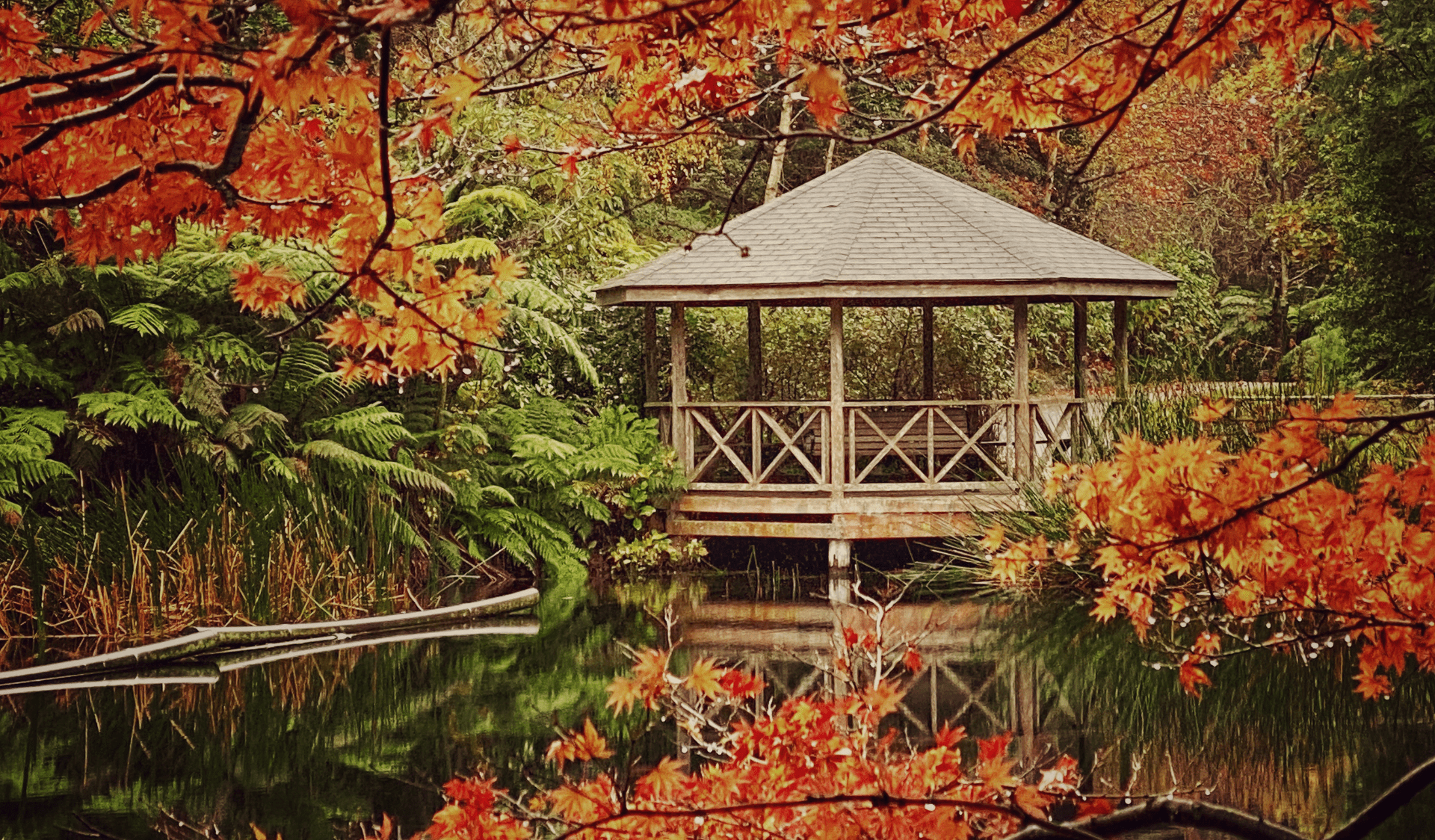 Bright red leaves near a gazebo close to the lake