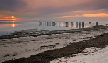 The beach at French Island National Park at sunset