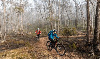 Two women ride mountain bikes along the Goldfields Track in Castlemaine Diggings National Heritage Park