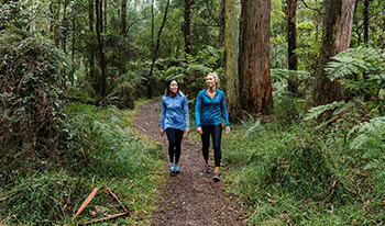 Two woman walking in Dandenong Ranges National Park