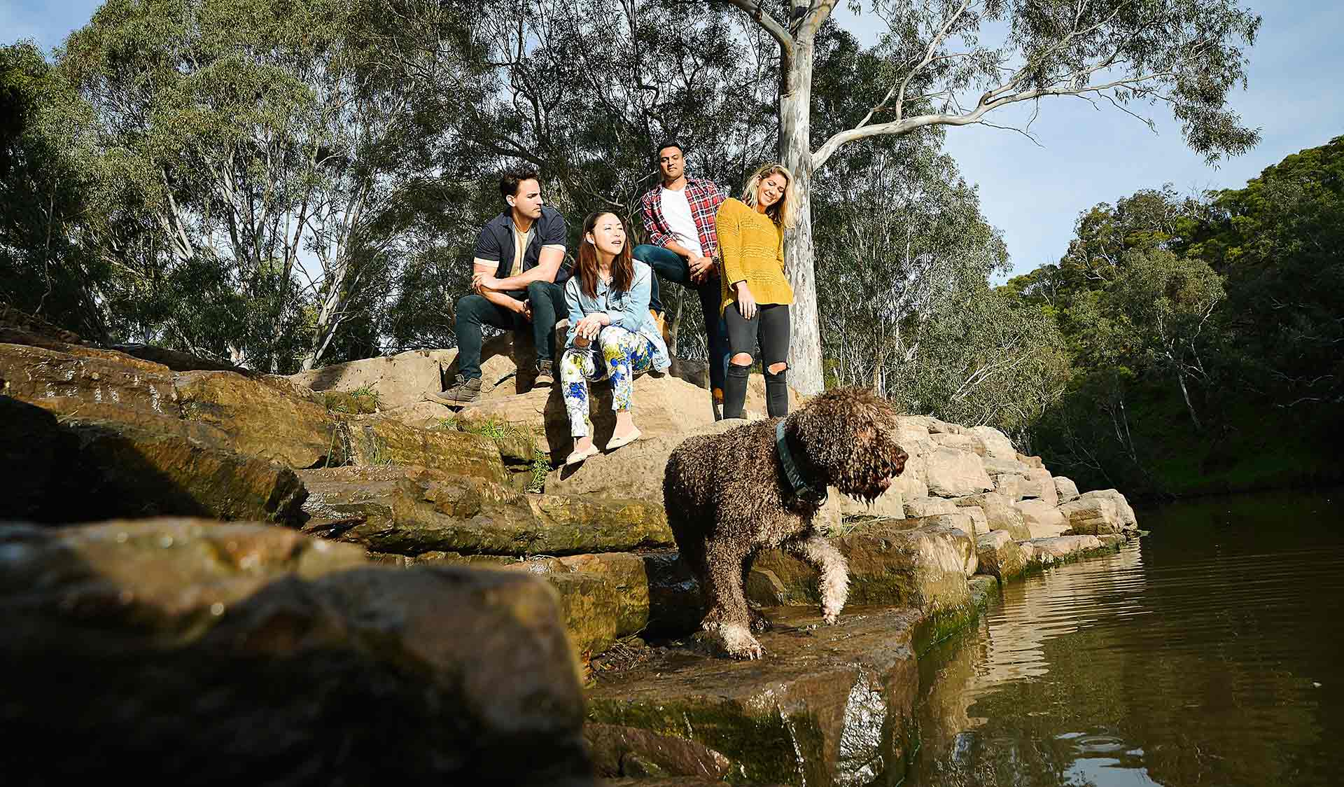 4 friends relax by the edge of the Yarra River as their curly brown dog gets ready to jump in the water.