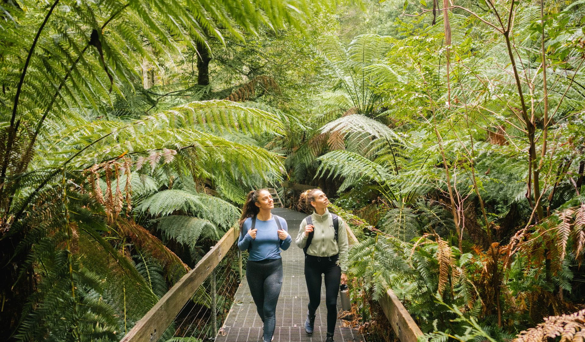 Two friends walking along the Rainforest Gallery trail in the Yarra Ranges National Parkl