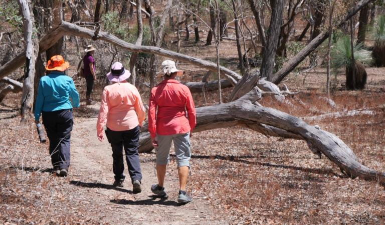 Walking in the Warby-Ovens National Park