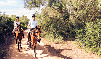 Two horse riders riding through bushland