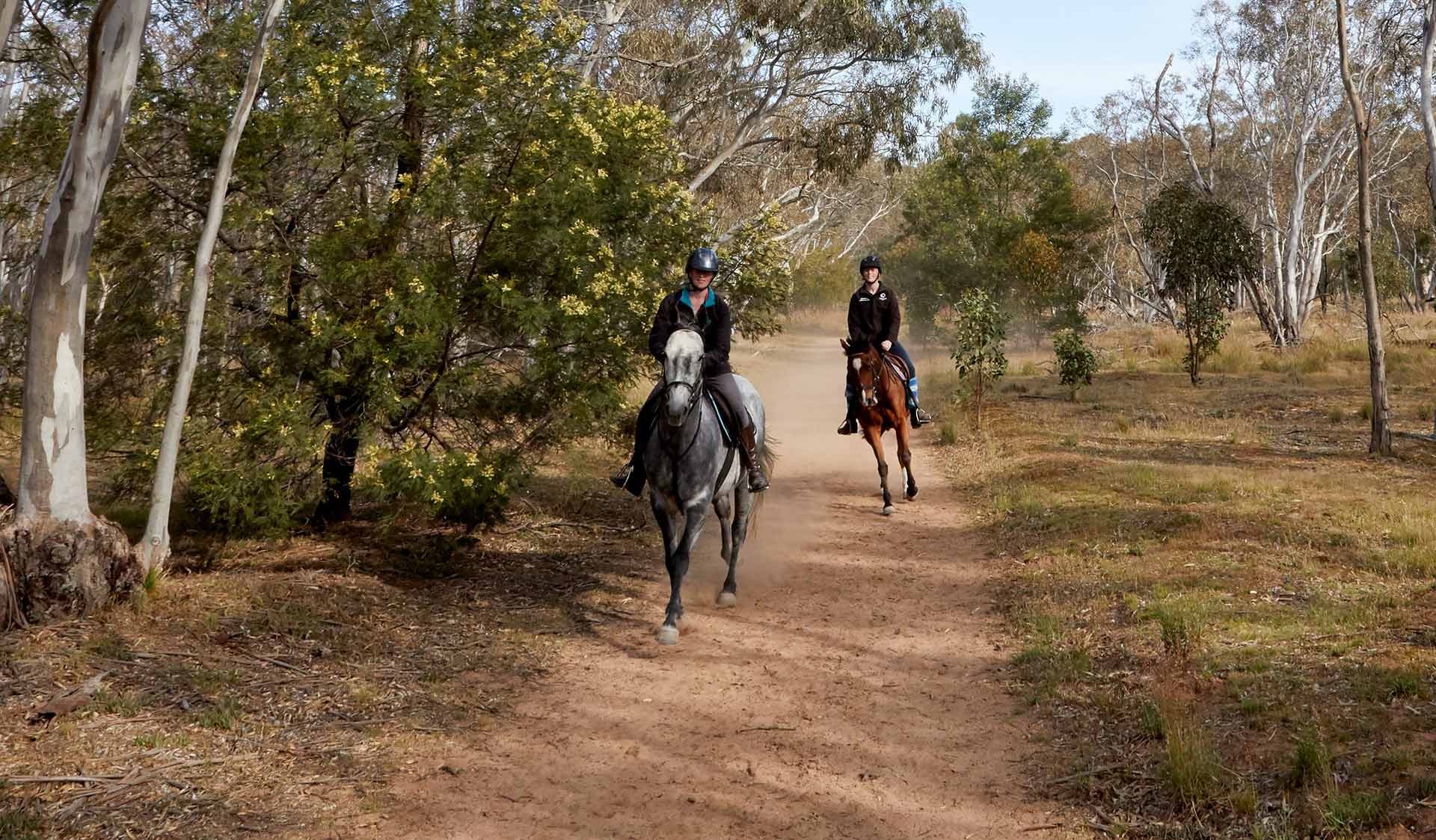 Two women ride horses along a dirt path in the You Yangs Regional Park.