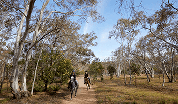 Two women ride horses along a dirt path in You Yangs Regional Park