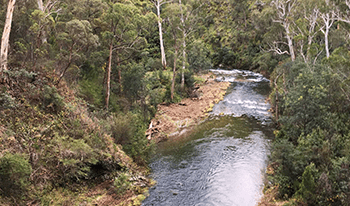 A view of the Howqua River and surrounding bushland from above