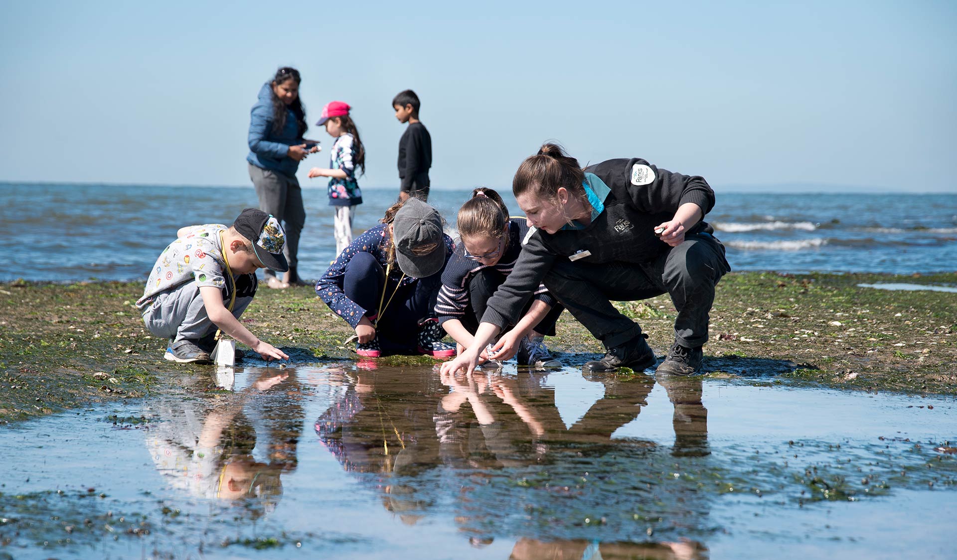 Four children and a ranger take a closer look at a rockpool. 