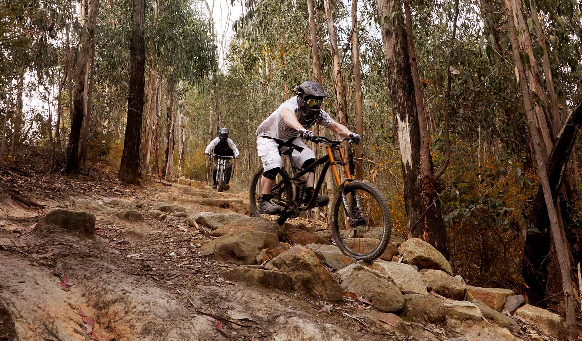 Two downhill mountain bikers descend Bowden Hill in Kinglake National Park.