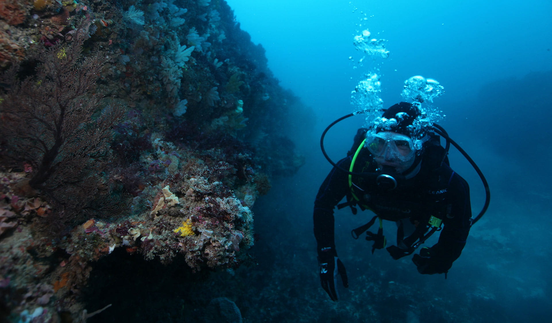 A diver explores a coral reef in the Twelve Apostles Marine National Park.