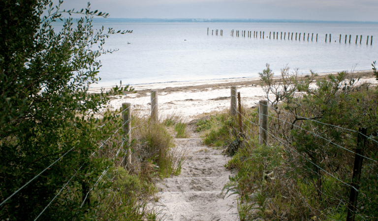 Sandy path leading out to beach at French Island.