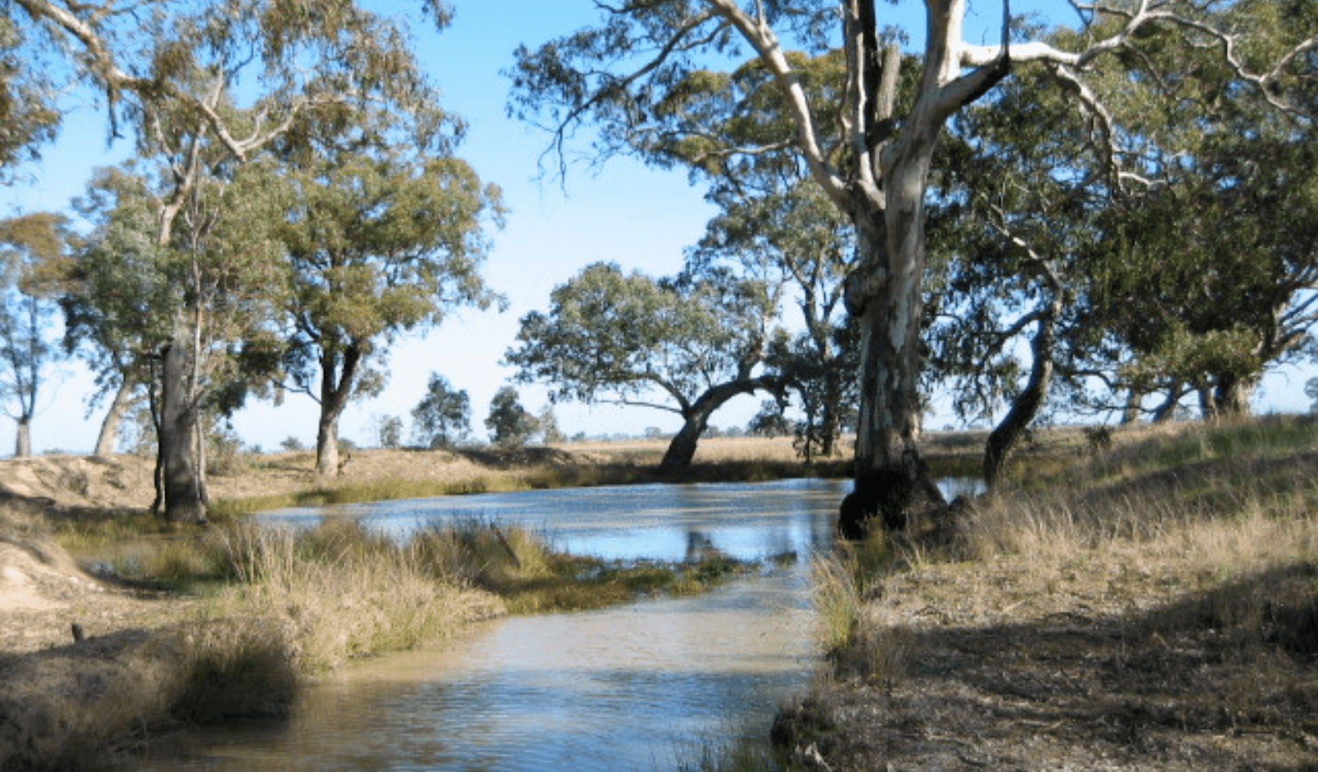 River winding between embankment near grasses and trees.