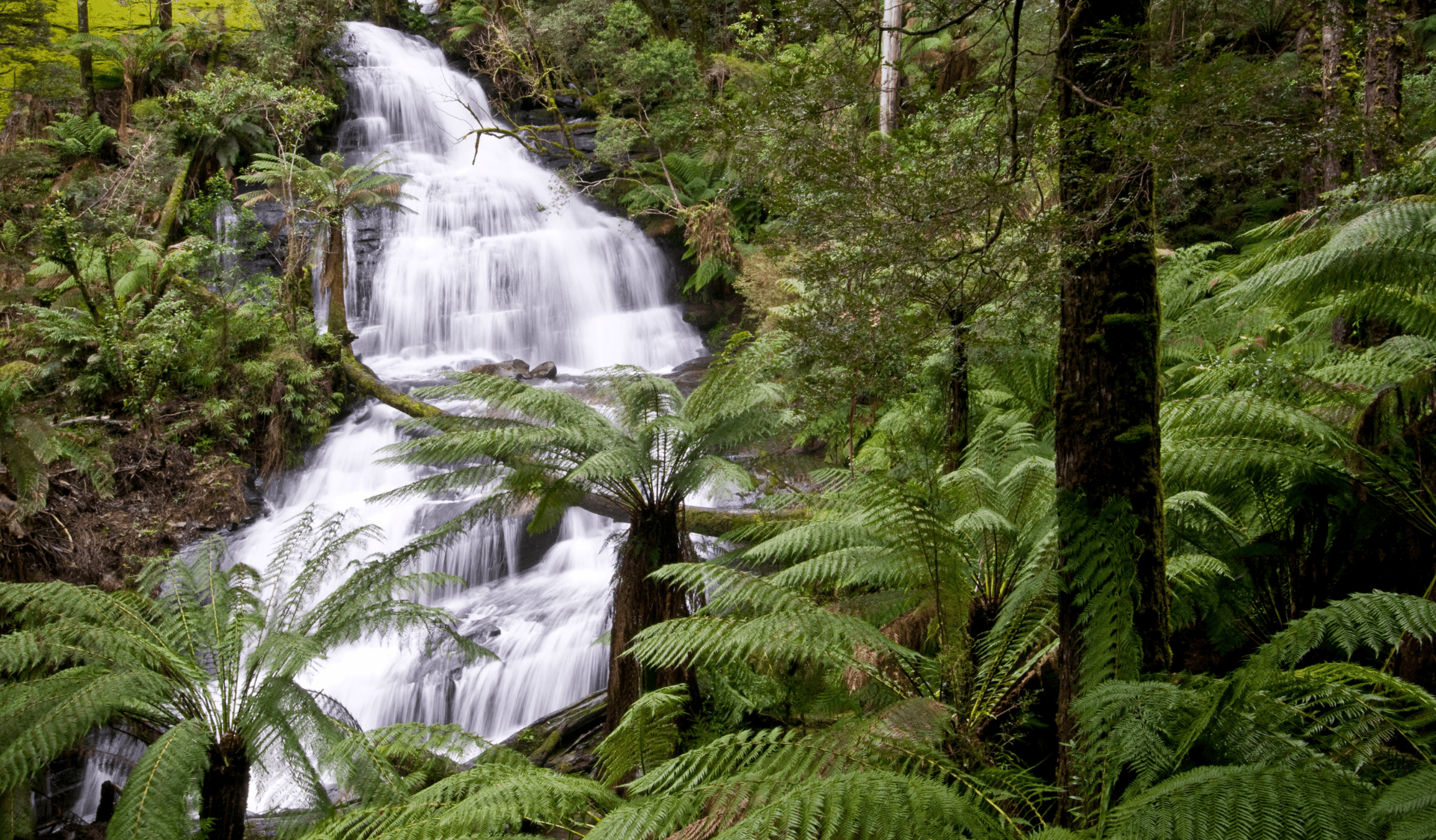 Triplet Falls, Great Otway National Park