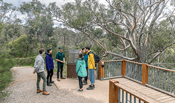 A Parks Victoria guide leads a group on a Yarra Bend Flying Fox tour in Yarra Bend Park