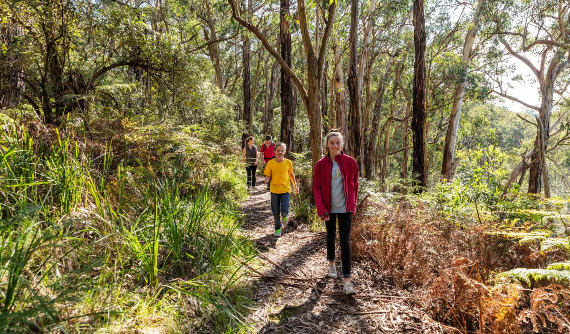 Walking in a bush setting