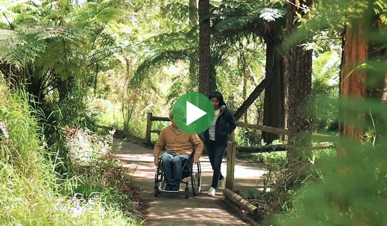 All abilities walks video at Margaret Lester Walk in the Dandenong Ranges National Park