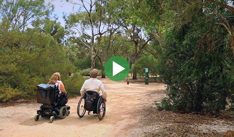 All abilities walks video at Serendip Sanctuary